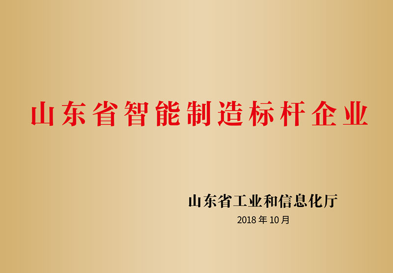 9山東省智能制造標桿企業